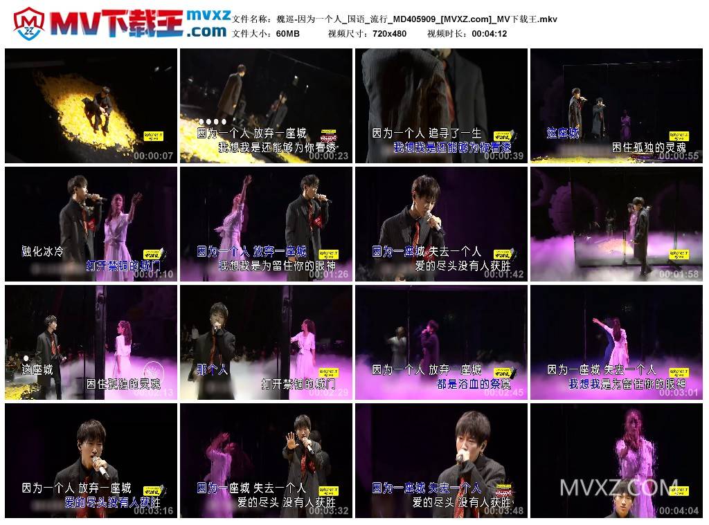 魏巡-因为一个人_国语_流行_MD405909